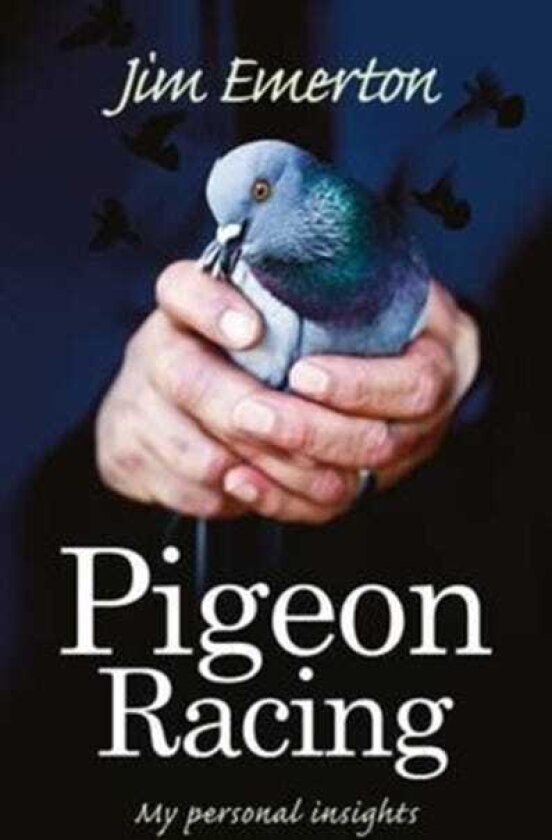 Pigeon Racing My Personal Insights