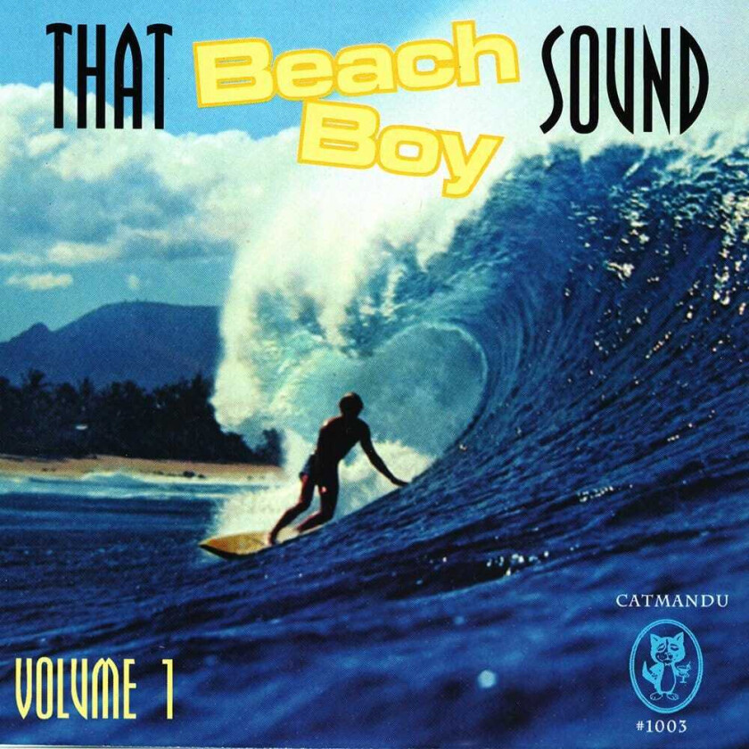 Diverse Artister That Beach Boy Sound Vol 1 CD