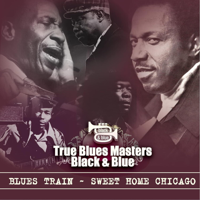 Diverse Artister Blues Train: Sweet Home Chicago CD
