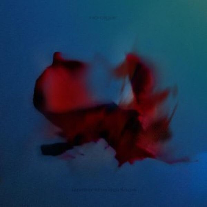 No Cigar Under The Surface LP/Vinyl