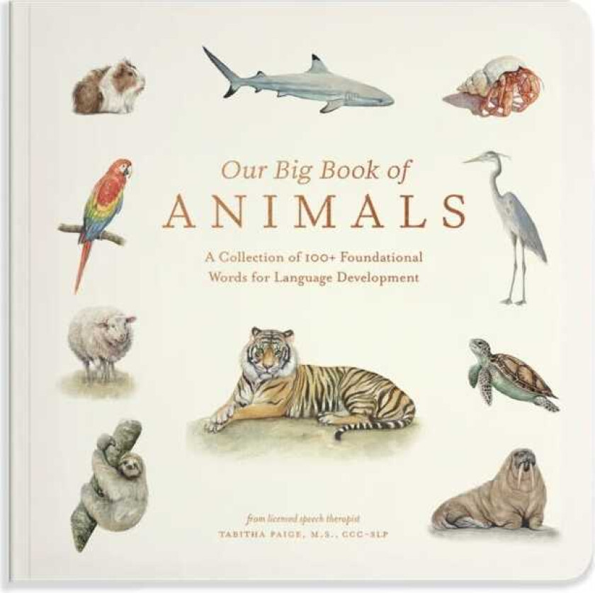 Our Big Book of Animals First 100 Animal Words for Language Development: Farm, Jungle, Pets, Bugs, and More