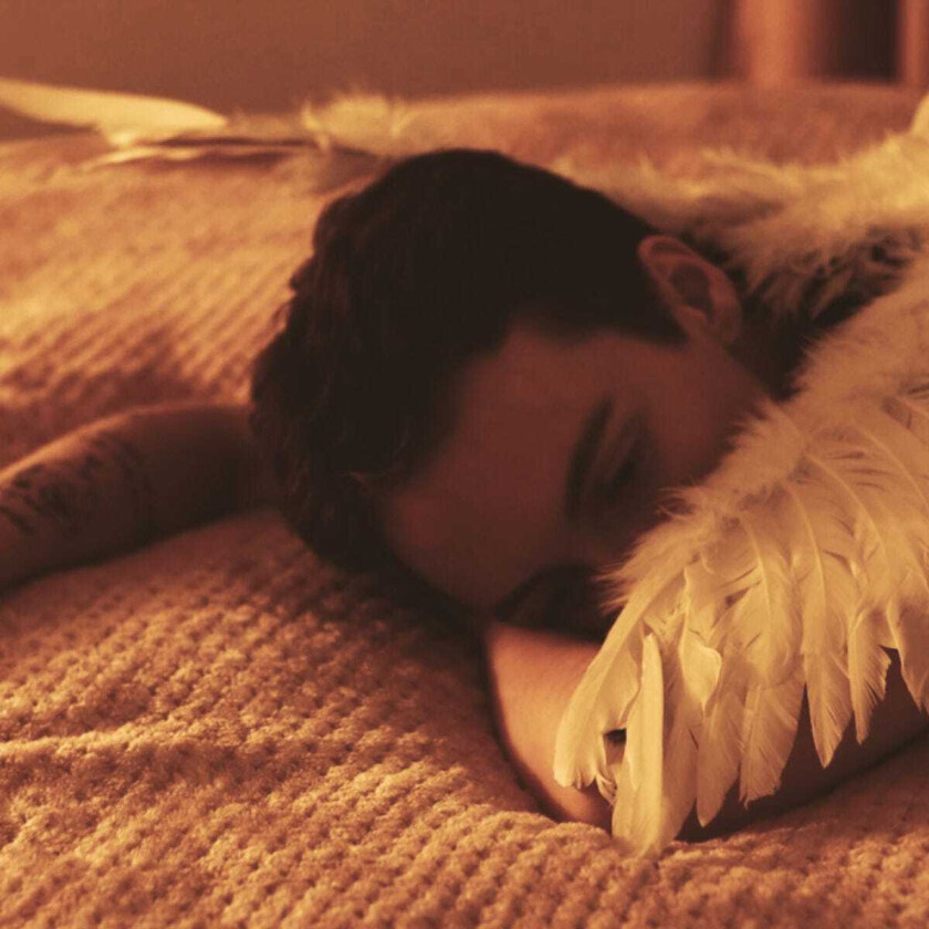 Sea Girls Midnight Butterflies LP/Vinyl