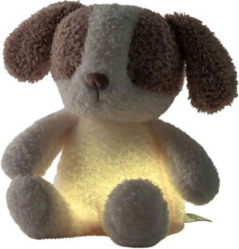 Sleepy Teddy Nattlampe Mini Hund