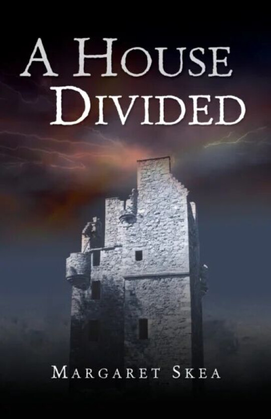 A House Divided av Margaret Skea
