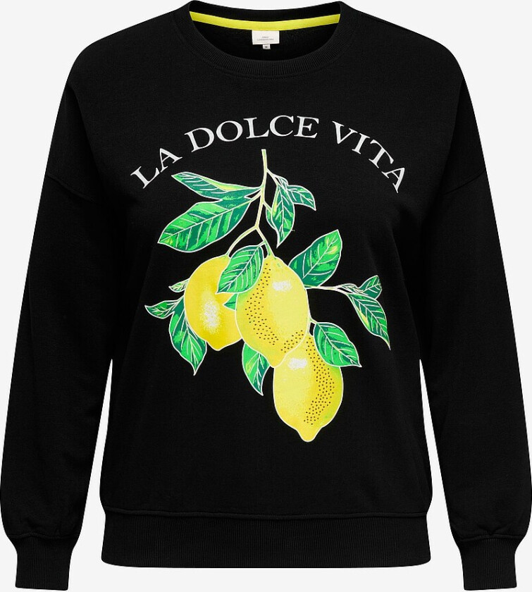 Collegegenser Carlacey Life L/s O-neck Sweat Jrs - Svart