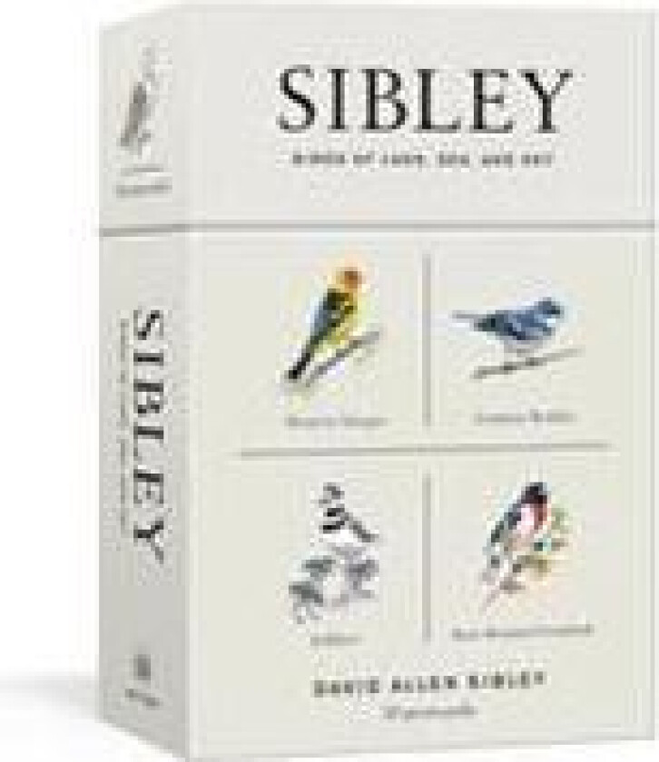 Sibley Birds of Land, Sea, and Sky