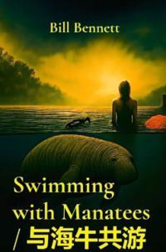 Swimming with Manatees / ?????