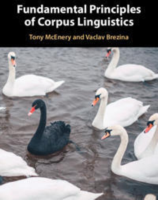 Fundamental Principles of Corpus Linguistics