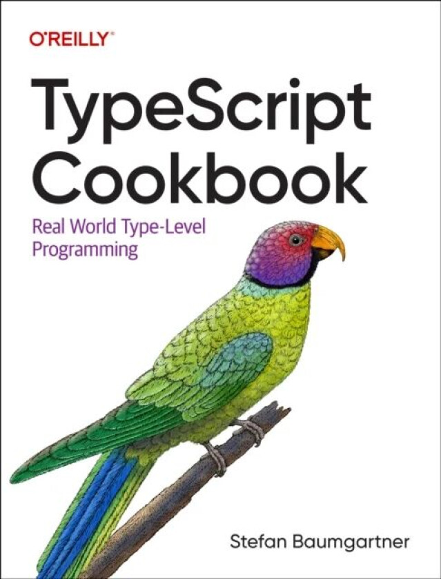 Typescript Cookbook av Stefan Baumgartner