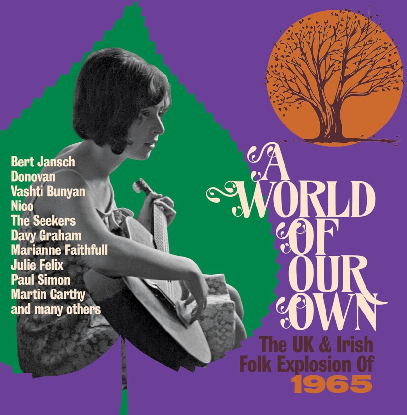 Diverse Artister A World Of Our Own The UK & Irish Folk Explosion Of 1965 CD