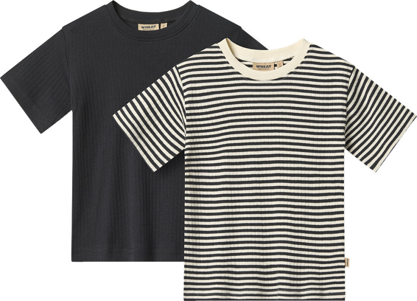 Bilde av T-skjorte - 2-pack - Fabian - Navy Rib Stripe - - 6 år (116) - T-skjorte