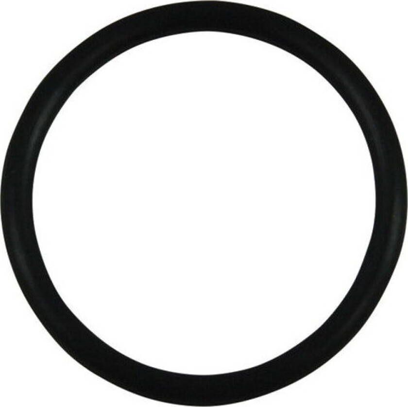 O-ring, 28,24 x 2,62
