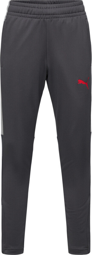 Individualliga Training Pants Jr - Grey - 116