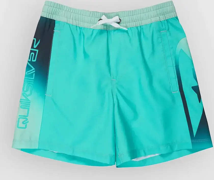 Everyday Holmes Volley 16 Kids Boardshorts blå