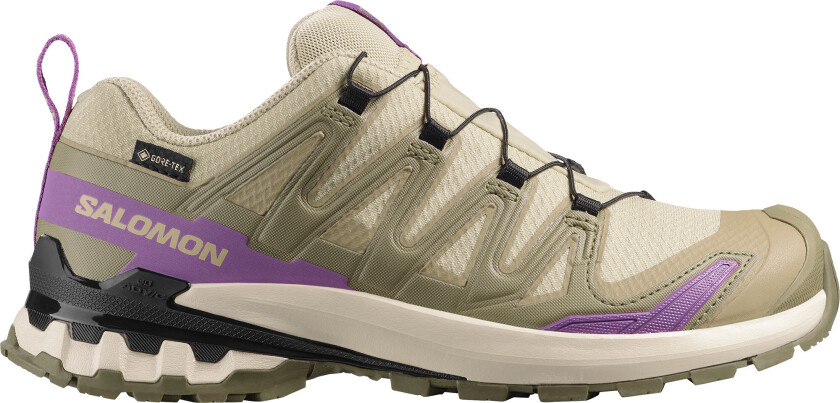 Women's XA Pro 3d V9 GORE-TEX Bog/Aloe/Concord Grape