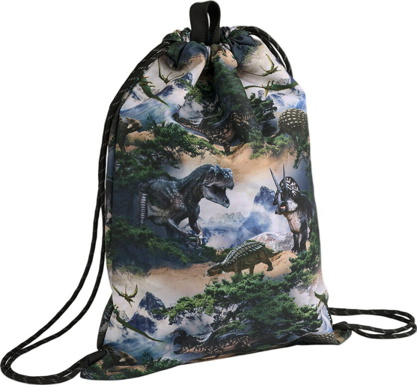 Gymbag - Fjell Dino - - OneSize - Veske