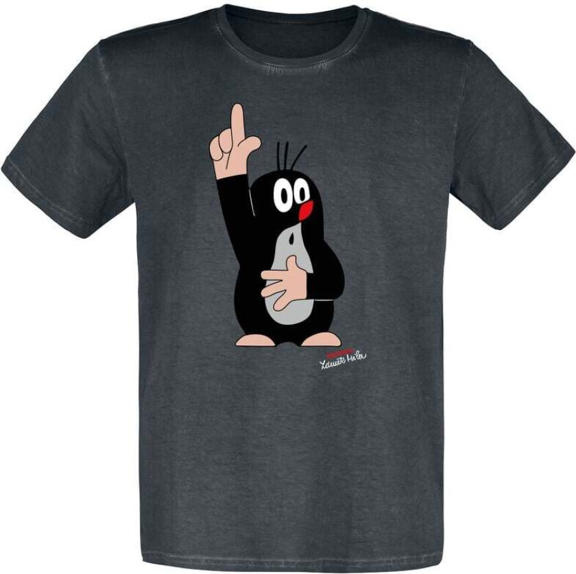 T-skjorte - - Zeigefinger - S til 3XL - Herrer - flerfarget