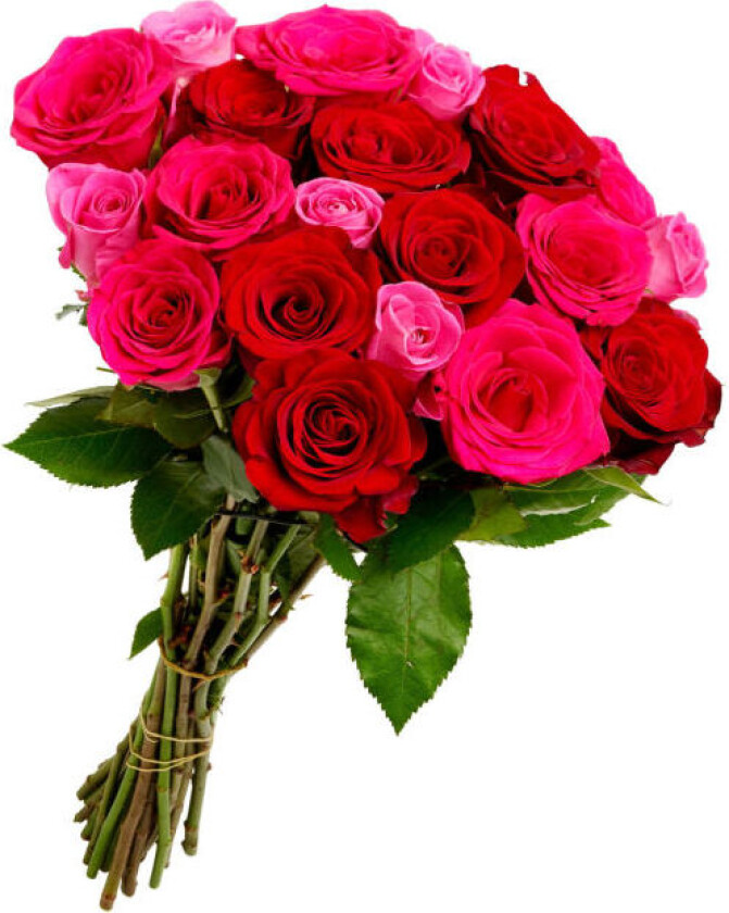 Roser Nydelig bukett av roser i forskjellige farger. Kommer med tre forskjellige fargekombinasjoner i bøtte.