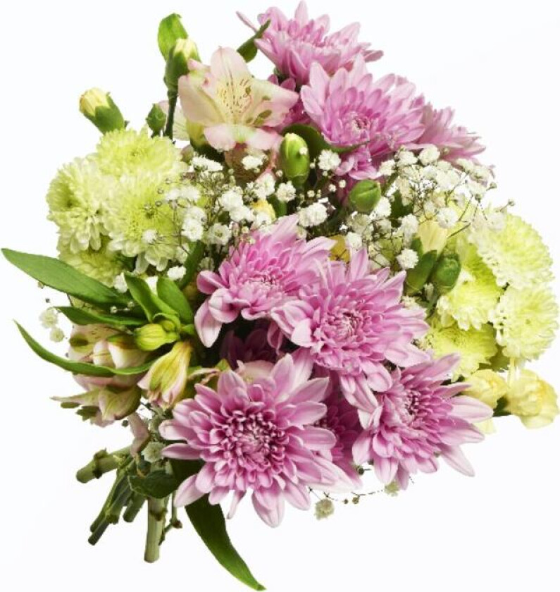Helgebukett Chrys Pen bukett som inneholder følgende: CHRYSANTHEMUM ALSTROMERIA ,BRUDESLØR, GRENNELLIK.