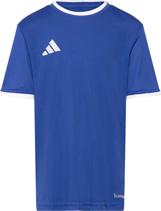 Spillerdrakt Entrada 26 - Blå/Hvit Barn, størrelse 116 cm