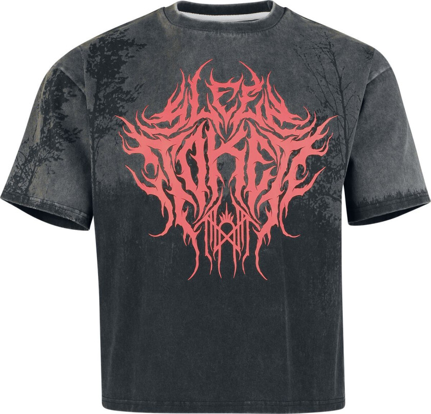 T-skjorte - EMP Signature Collection - Heavyweight - S til XXL - Herrer - mørkegrå-svart
