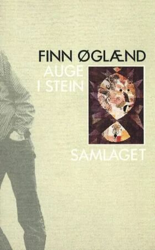 Auge i stein av Finn Øglænd