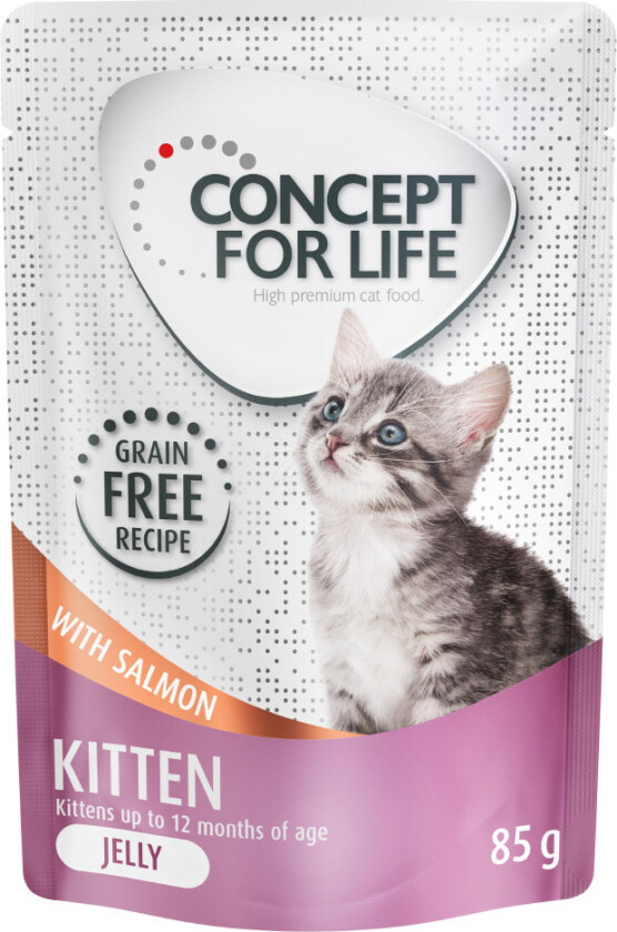 Sparepakke Concept for Life kornfri 48 x 85 g - Kitten Laks - i gelè