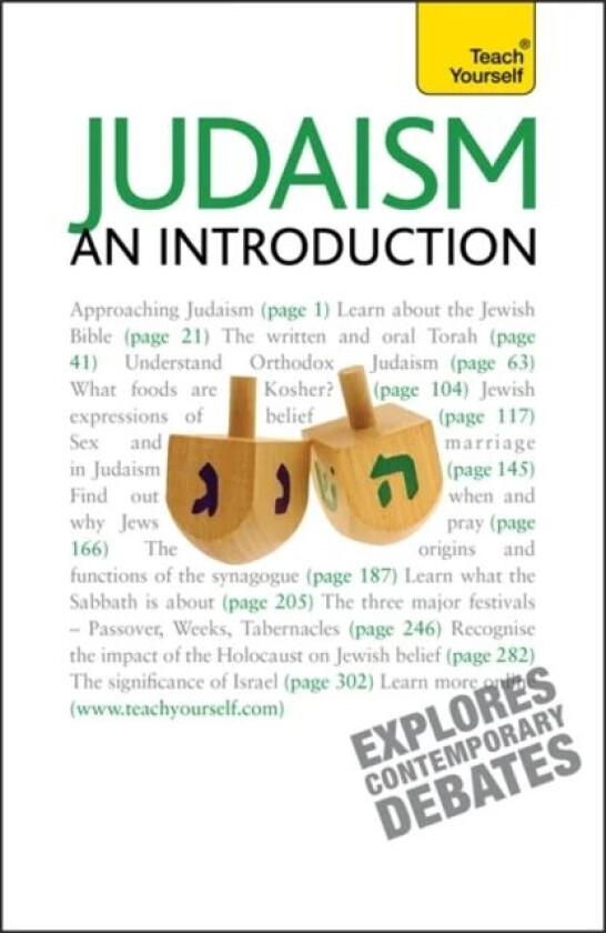 Judaism - An Introduction: Teach Yourself av C. M. Hoffman
