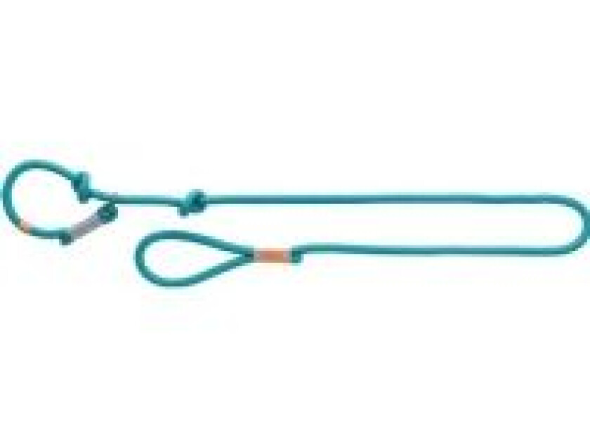 BE NORDIC retriever leash L-XL: 1.70 m/ø 13 mm petrol/light grey