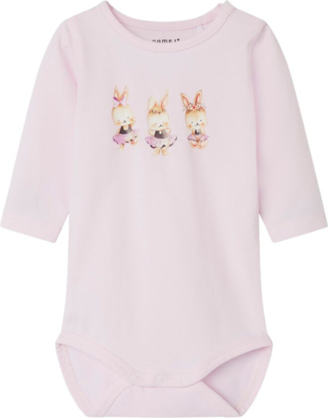 Body Lissel Festival Bloom - 62