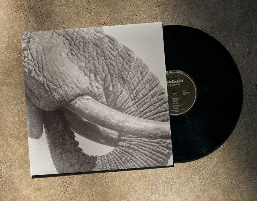 White Elephant World Elephant Day LP/Vinyl