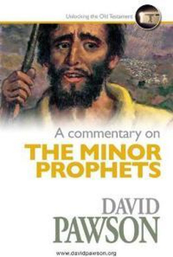 A Commentary on The Minor Prophets