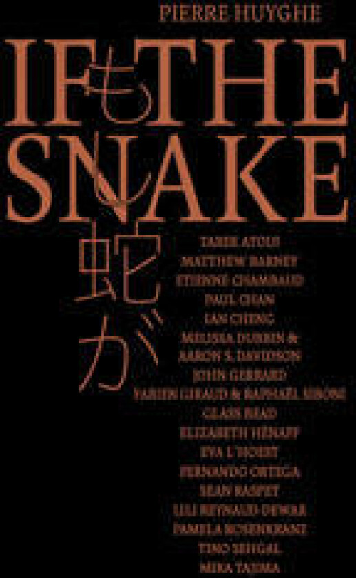 Pierre Huyghe - If the Snake