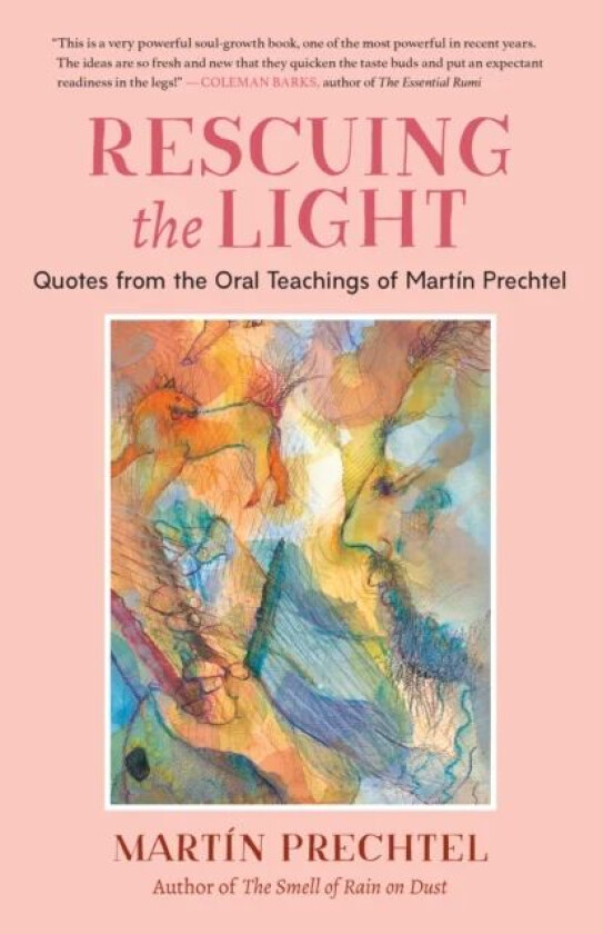 Rescuing the Light av Martin Prechtel