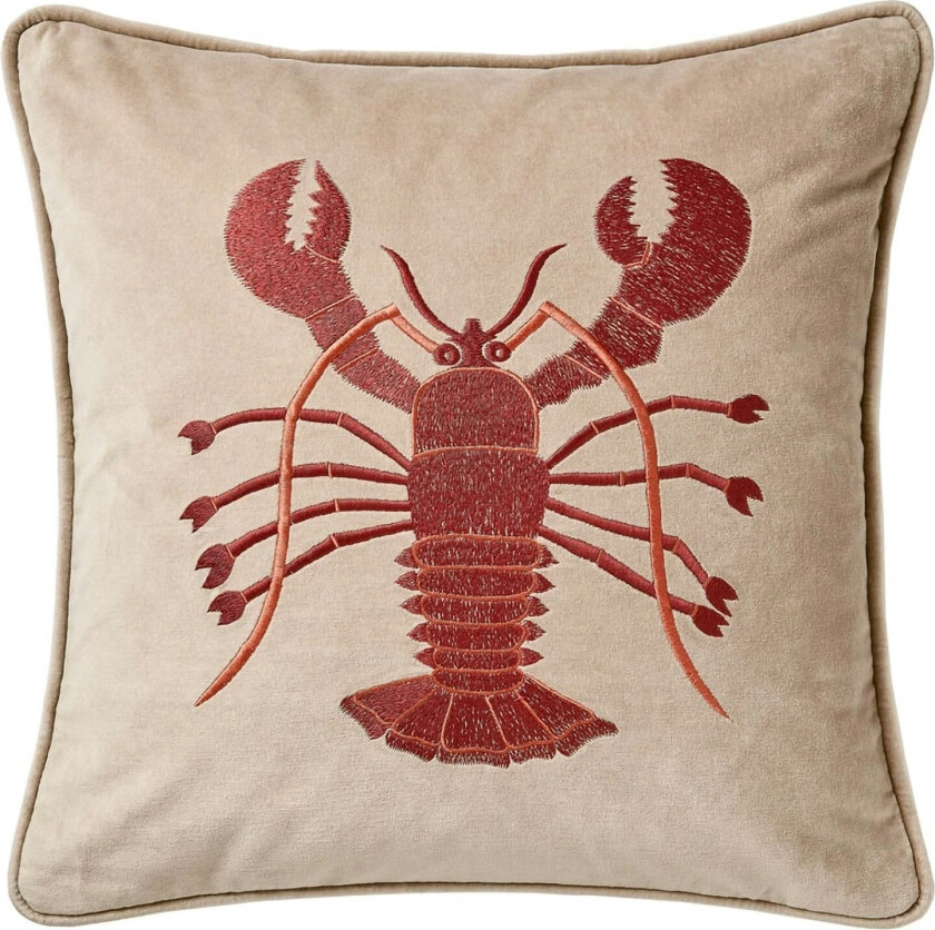 Lobster Putetrekk 50x50 Cm Tan / - Pynteputer & Trekk Lin Apricot Orange - CC100108-27V