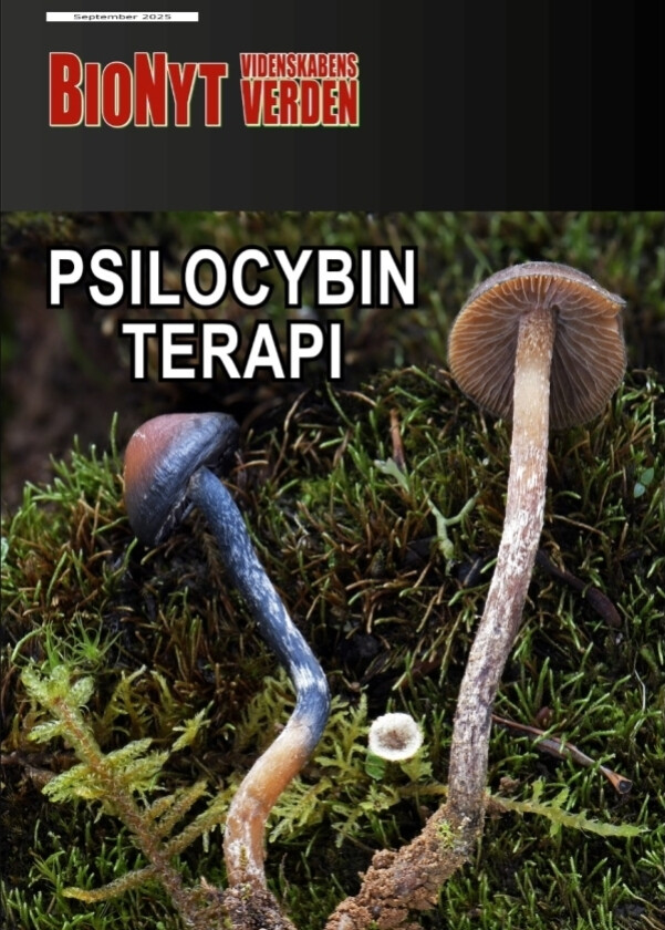Psilocybin-terapi | Ole Georg Terney | Språk: Dansk