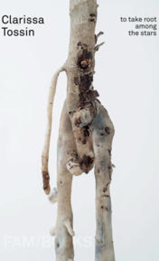 Clarissa Tossin: To Take Root Among the Stars