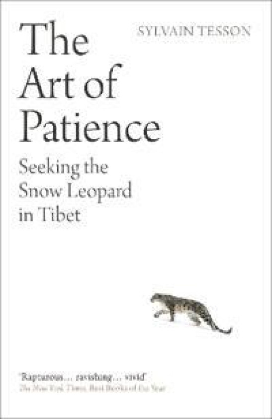 The Art of Patience