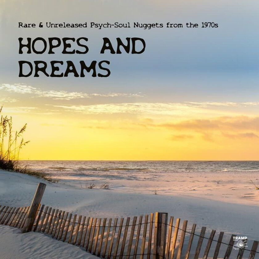 Diverse Artister Hopes And Dreams Rare & Unreleased PsychSoul Nuggets from the 1970s CD