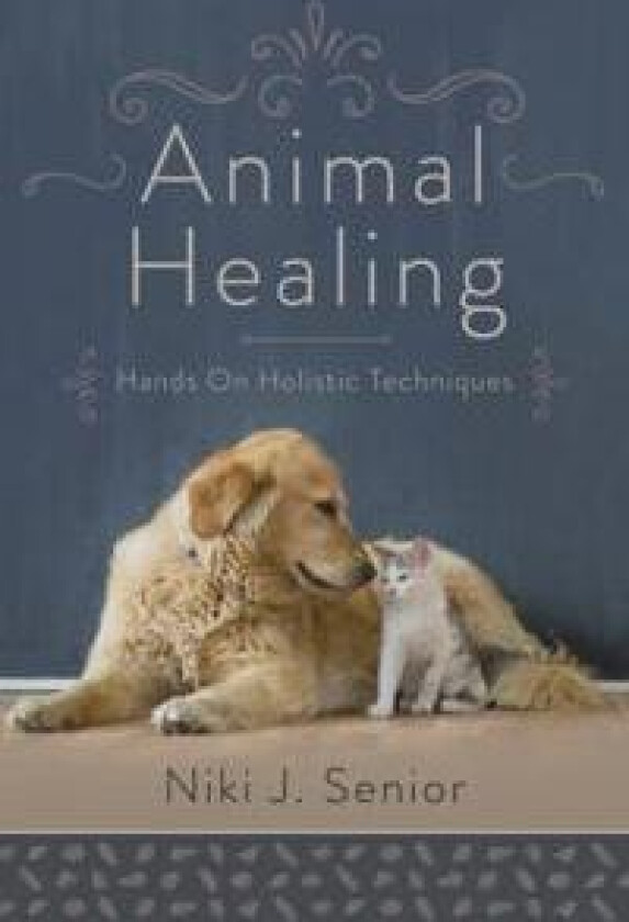 Animal Healing