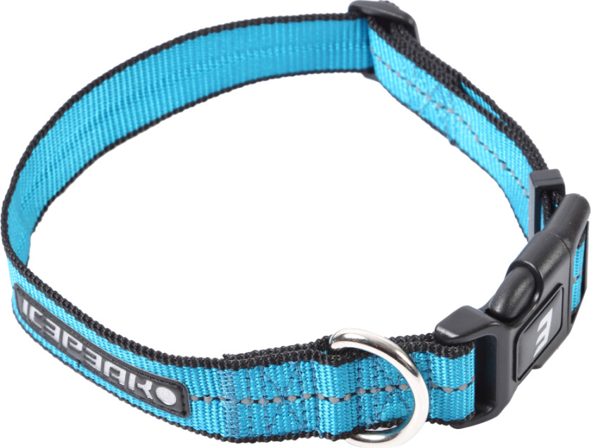 Bilde av ® Highway Basic halsbånd, aqua - Størrelse S: 25-35 cm halsomkrets, 20 mm bred