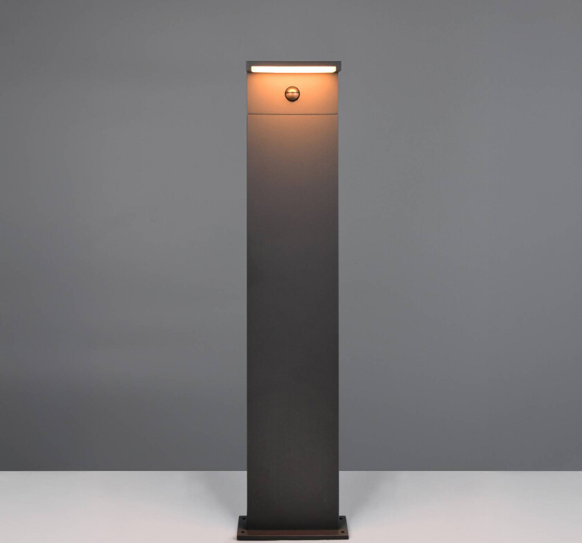 LED-veilampe Ravi, antrasitt, høyde 100 cm, sensor, IP54