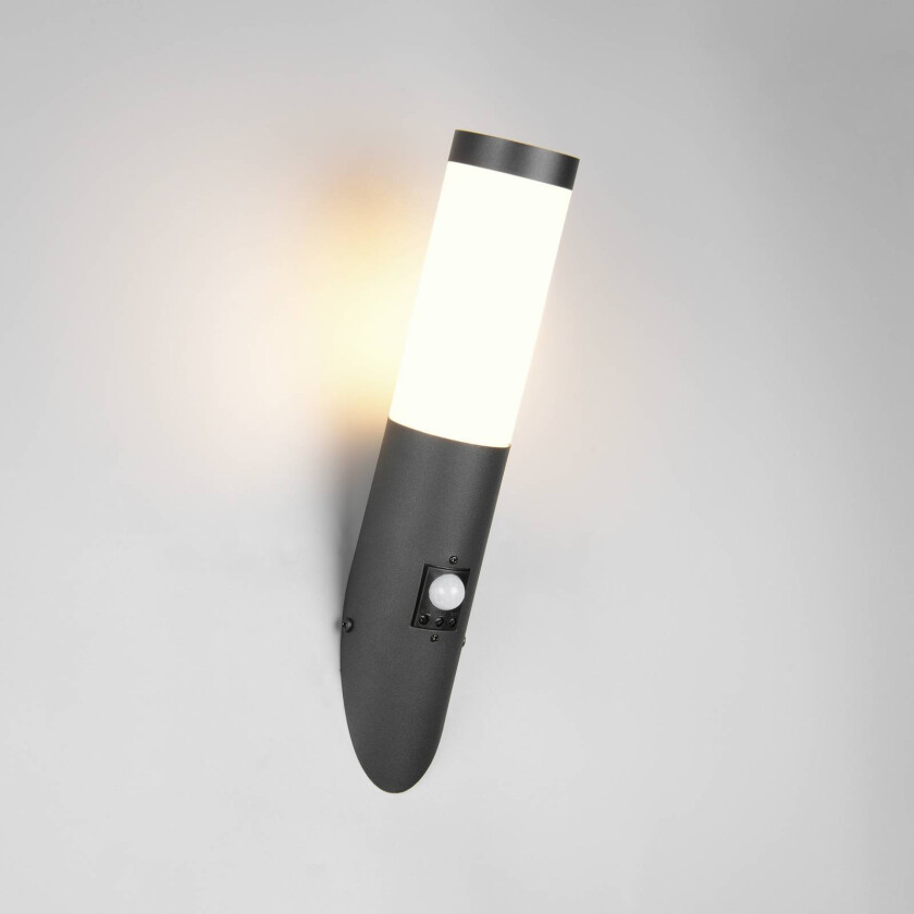 Utendørs vegglampe Trioto, matt svart, 39 cm stål, sensor