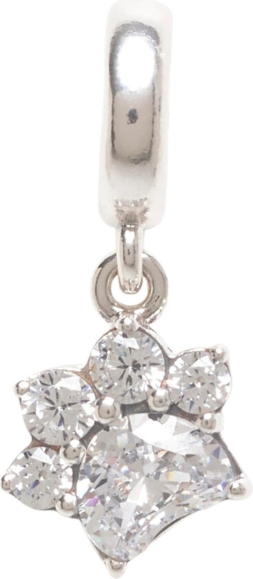 Bilde av Paw Sterling Silver Dangle With Clear Cubic Zirconia - Silver - ONE SIZE