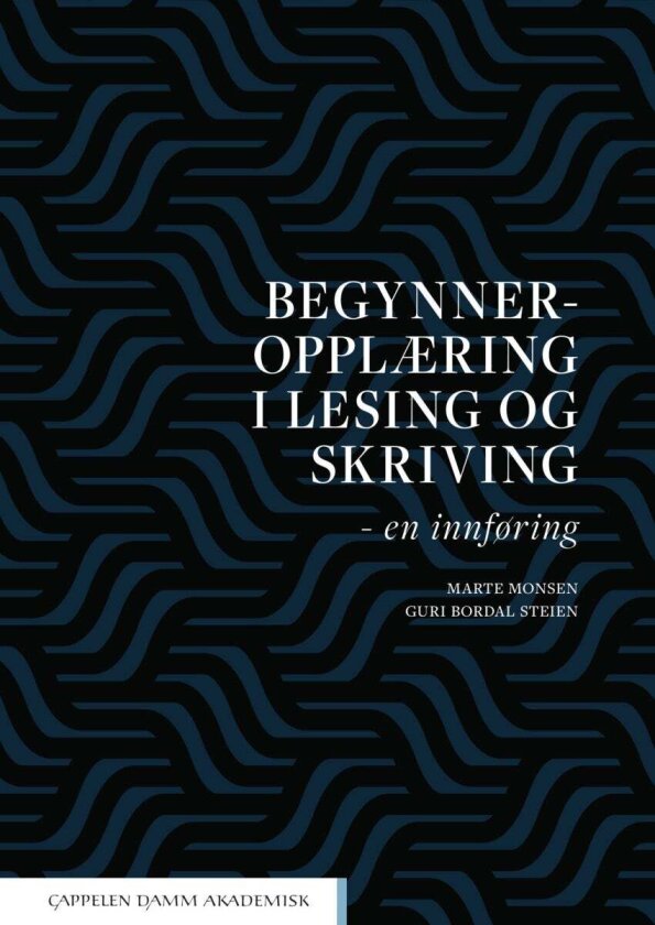 Begynneropplæring i lesing og skriving av Marte Monsen, Guri Bordal Steien