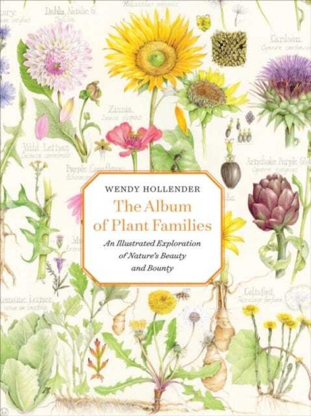 The Album of Plant Families An Illustrated Exploration of Nature's Beauty and Bounty