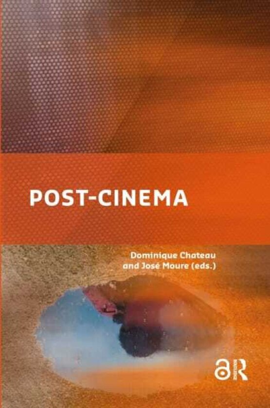 Postcinema Cinema in the Postart Era