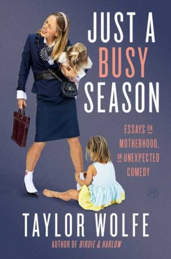 Just a Busy Season Essays on Motherhood, an Unexpected Comedy