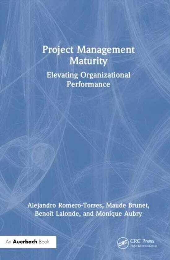 Project Management Maturity Elevating Organizational Performance