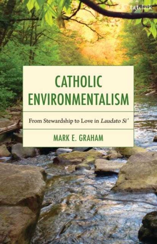 Catholic Environmentalism From Stewardship to Love in Laudato Si’